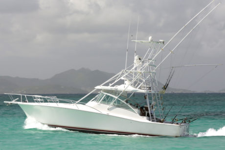 41’ sport fishing boat
12 passenger capacity